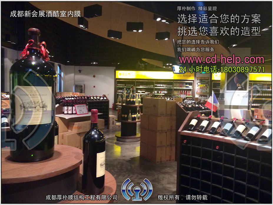 成都新会展酒酷室内膜工程照片10_成都膜结构案例