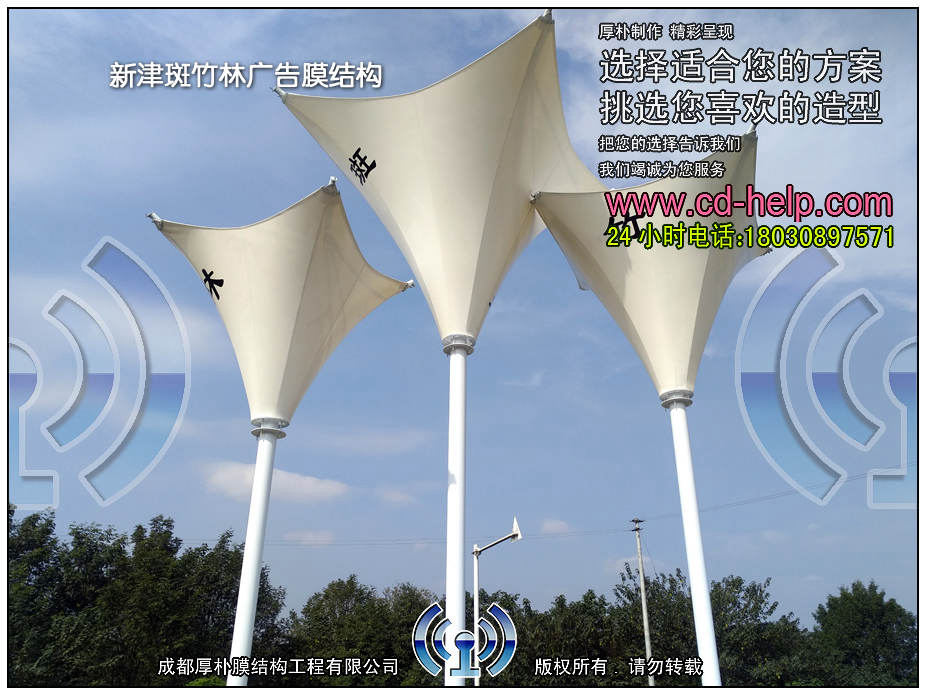 新津斑竹林广告膜结构实景图